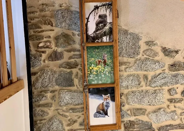 Mansarda La Gata Mora Cevo
